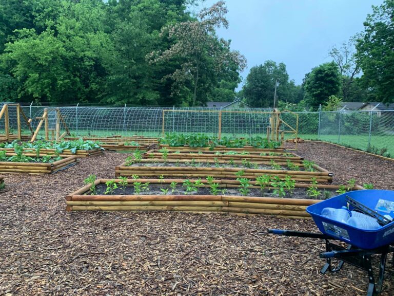 How Third & Spruce Is Expanding Food Access in the Mississippi Delta
